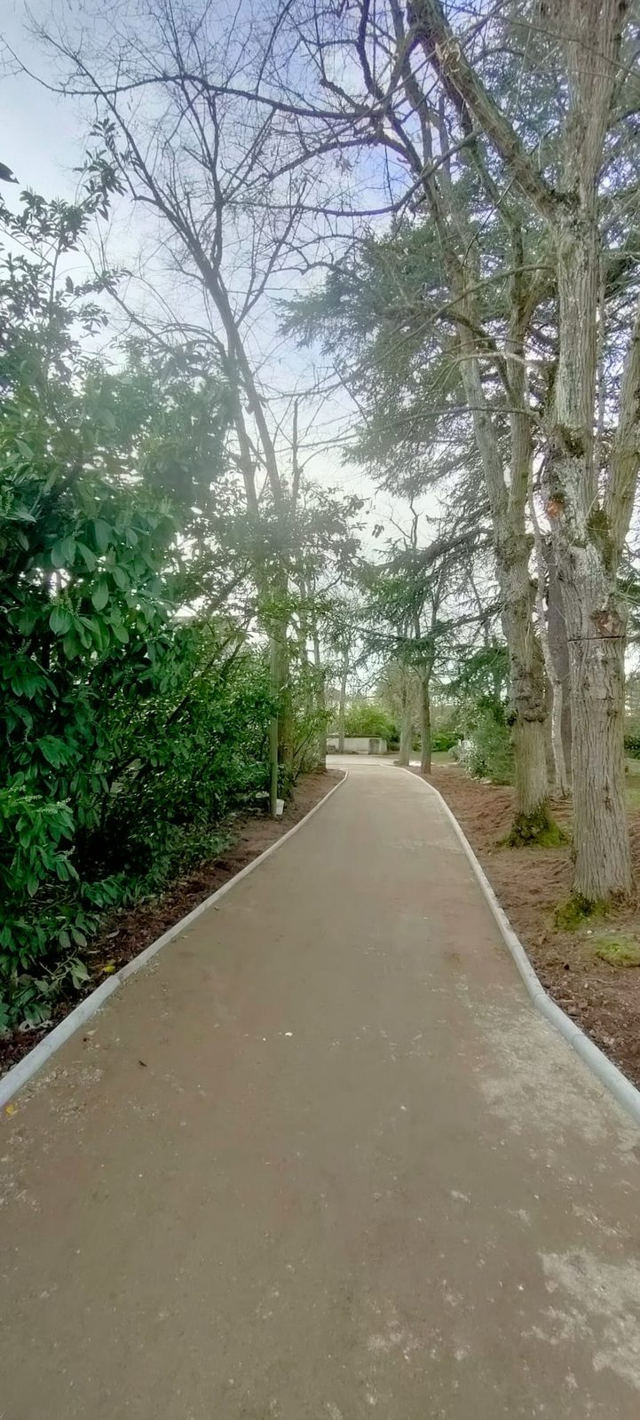 Terrassement de plateforme par Primo TP - chantier VRD Île-de-France